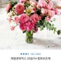제철꽃20송이+절화보존제 (10,900원/무료)3