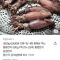 총알한치 500g 15~25미 (6,900원/무료)12