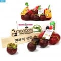 생 망고스틴 1kg+1kg (총 2kg) (19,400원/무료)5