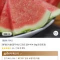 국내산 고당도 꿀수박 4-5kg(안전포장) (14,563원/무료)