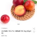 새콤달콤 햇 자두 2kg (13,170원/무료)