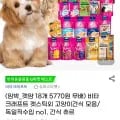 비타크래프트 츄르 외 임박 고양이,강아지 간식 모음전 (3,100원부터/2세트 무배)1