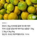 올해 첫수확! 제주 하우스감귤 당일수확 제주직송 실중량 1.5kg 2.5kg 4.5kg 9kg(대과 2.5kg 9,900원/무배)1