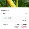 산지직송 2025 여수 당도 높은 초당옥수수 5개입 (13,800원/3,000원)6