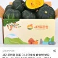 제주 미니 단호박 밤호박 2kg ( 9,270원/무료)2