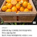 25년 제주 하우스감귤 2kg 대과 (12,900원/무료)