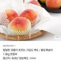 백도 복숭아 중과 1.5kg (카카오 13,311원 / 무료)