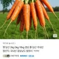 경남 흙당근 햇당근 중 2kg (4780원/무배)1