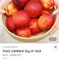 국내산 신비복숭아 2kg 31-36과 (11,600원/무료)