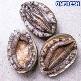 완도 활전복 1kg (유클 17,290원/무배)