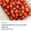 방울토마토 2kg (6,900원/무료)