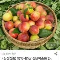 신비복숭아 2kg 로얄과 10-20과내 (유클+중쿠 17,100 /무배)