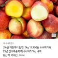 신비복숭아 5KG 미니 (11,900원/무료)10