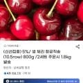 생체리 항공직송 (10.5row) 800g (11,820원/무료)