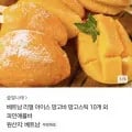 베트남 아이스 망고바60g 10개 (9,700원/무료)1