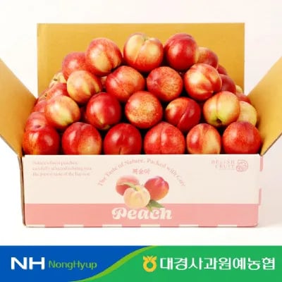 경북 햇 신비복숭아 2kg 16-20과 로얄과 (17,900원/무료)2