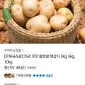 25년 햇감자 5kg (대) (8,220원/무료)1