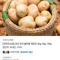 25년무안황토밭햇감자3kg중 (쿠폰가 4,900원/무배)
