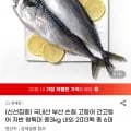 국내산 부산 손질 고등어 특대 총3kg 2미 3팩 총6미(15,820원/무배)1