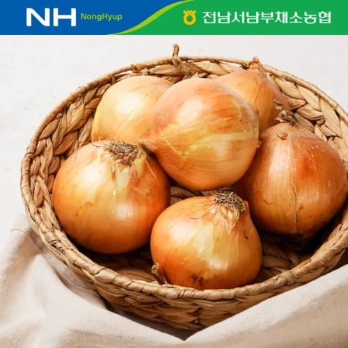 무안 황토 햇양파5kg (4,200원/무료)2