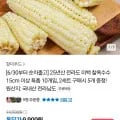 전라도 미백 찰옥수수 15cm 특품10개 (9,900원/무료)1