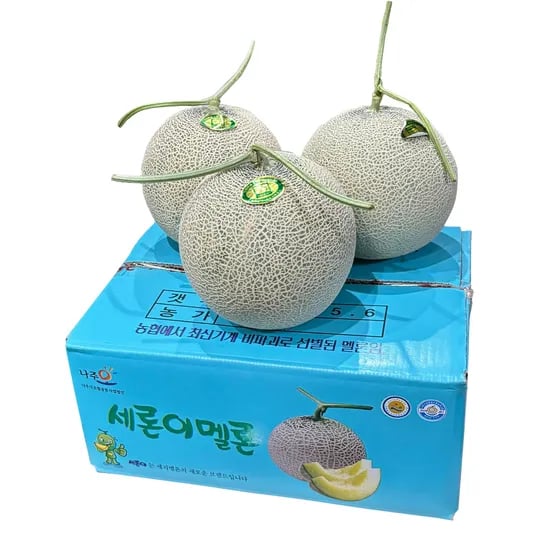 세지메론 2수 5KG (19,900원/무료)