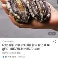 완도 활 전복 1kg(10-11미)+손질도구(19,460원/무배)