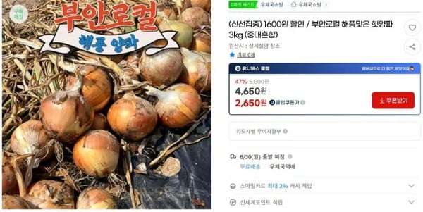 ]양파3kg 중대혼합(3,150/무료)21