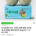 고당도 멜론 세지메론 정품 왕대과 5kg (2수) (유클16,920원/무료)2