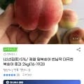 제철 반납작 대극천 털복숭아 중과 2kg (18,570원/무료)