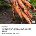 특상급 당일 감자+양파 총 4kg (6,900원/무배)