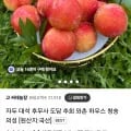 대석자두 2kg(9,700원 / 무료)1