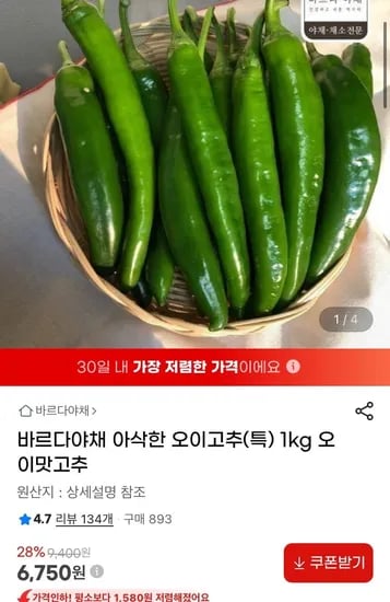 오이맛고추 오이고추(특) 1kg (6,750원/무배 )2