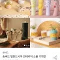 틸란드시아+미니화분세트 (11,808원/무료)