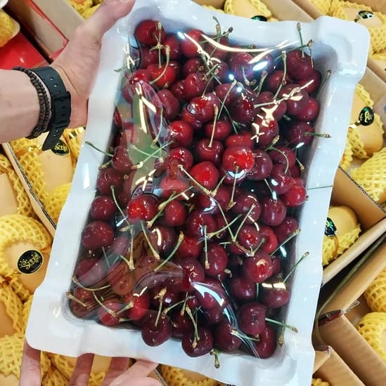 미국산 왕체리 500g 9,900원/무배2