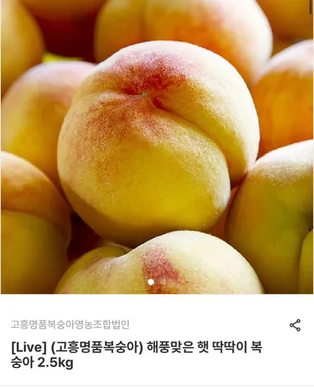 국내산 딱딱이 햇복숭아 (14,210원/무료)2