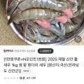25년 제철 신안 활 새우 1kg 29,300원/무배5
