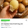 포슬포슬 국내산 햇 감자 5kg (대)(8,340원/무배)1