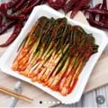 100% 국내산 전라도 파김치 1kg (10,800원/무료)3