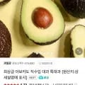 아보카도 특대과 6개입 (7,900원/네멤무배)13