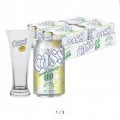카스 제로 레몬 스퀴즈0.0 330ml 24캔 + 전용잔 1개 증정 (17,490원/무료)3