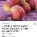 의성 대석자두 2kg 중대과 (유클11,850원/무료)1