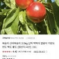 신비복숭아 2.5kg 로얄과 23-35과 (10,800원/무료)2