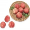 대극천 복숭아 3kg (유클 16,900원/무료)5