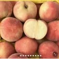 말랑이 복숭아 4kg (14,800원/무료)