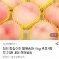 의성 털복숭아4kg 백도 (유클15,730원/무료)