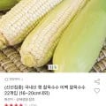 국내산 찰옥수수 22개입(16~20cm내외) (유클 14,510원/무료)2