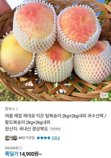 여름 제철 털복숭아 2kg + 2kg (14,900원~/무료)3