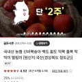 농협 신비복숭아 800g2팩 1.6kg (15,400원/무배)