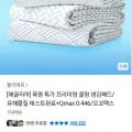 벨리에르 플라이토 냉감패드 1장 외 다양 (15,900원~/무료)